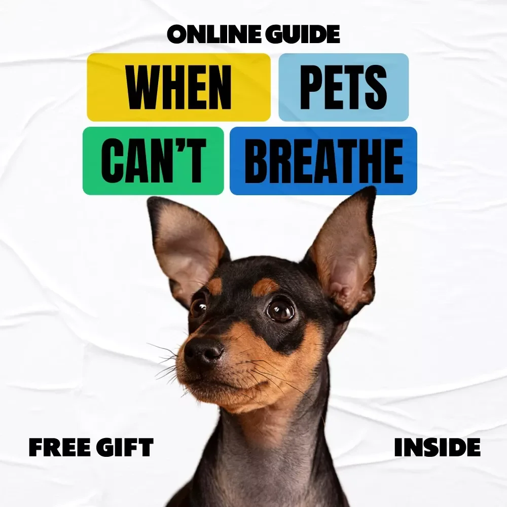 When Pets Can’t Breathe: A Life-Saving Guide for Pet Owners – Choking Prevention, First Aid, and AI Support