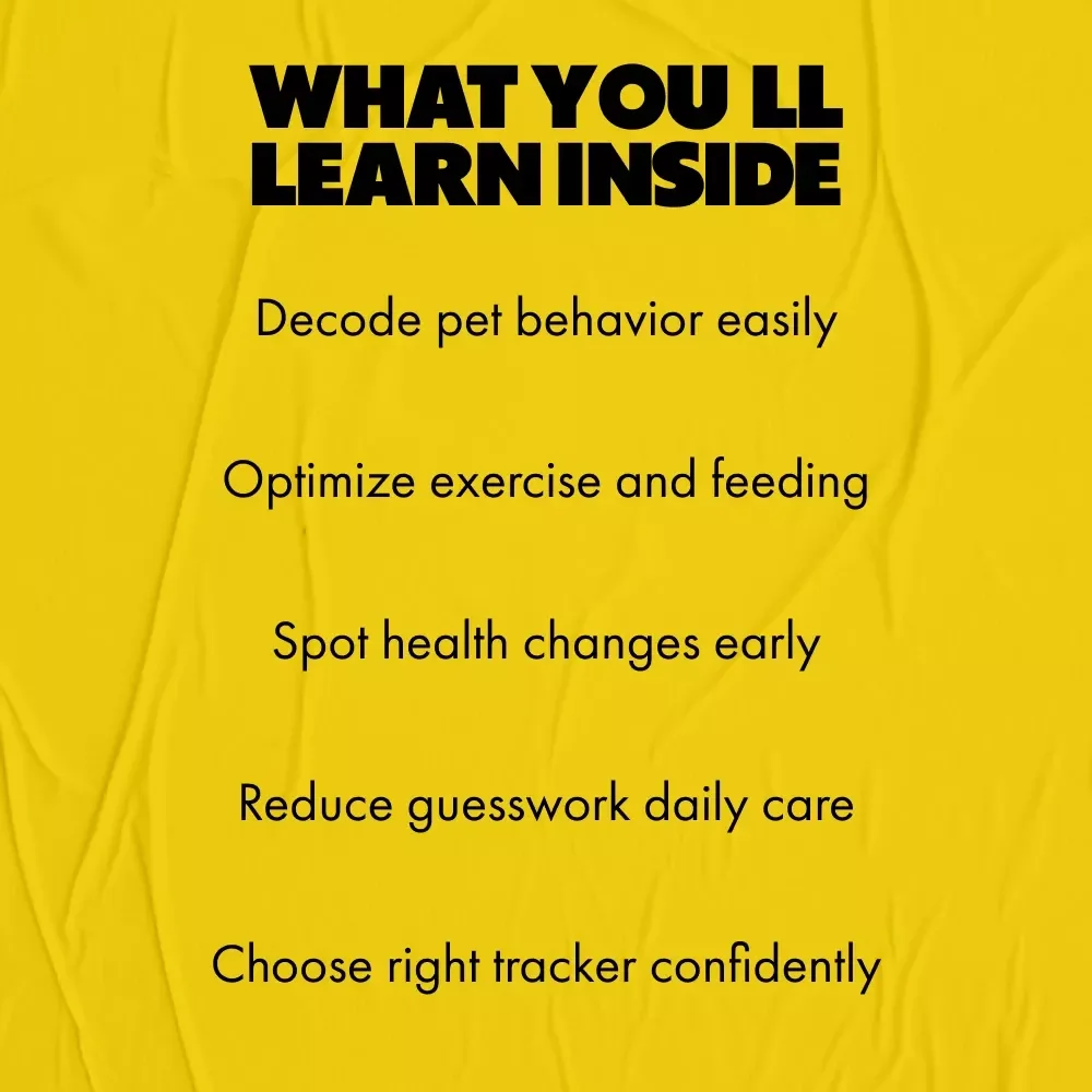 How AI Turns Pet Play into Powerful Insights – Smart Guide to Using an ai pet activity tracker for Health, Behavior & Daily Care