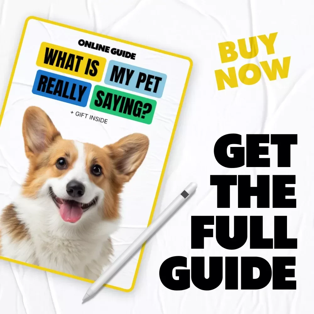 What Is My Pet Really Saying? | Smart Pet Behavior Guide Using AI Pet Behavior Analysis Tools for Curious Pet Parents