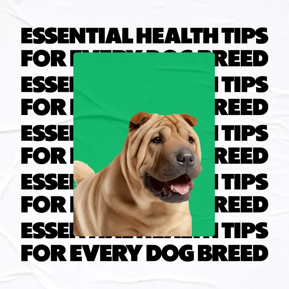 Essential Health Tips for Every Dog Breed – Breed-Specific Wellness Guide with Dog Breed Specific Health Tips, Nutrition, Exercise & Preventive Care (Digital Download)