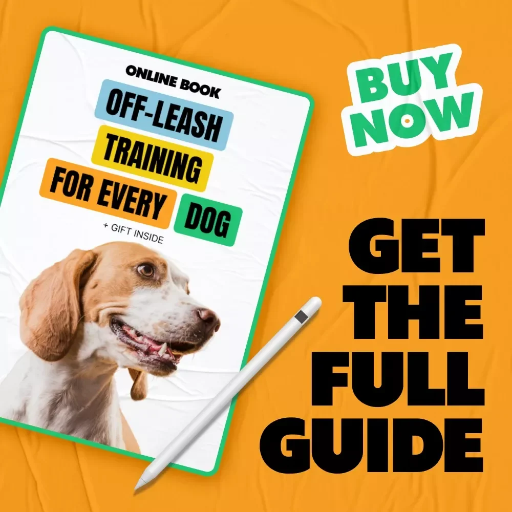 Off-Leash Training Tips for Every Dog | Dog Training Guide eBook | Digital Download for Reliable Recall, Focus & Confident Off-Leash Walking