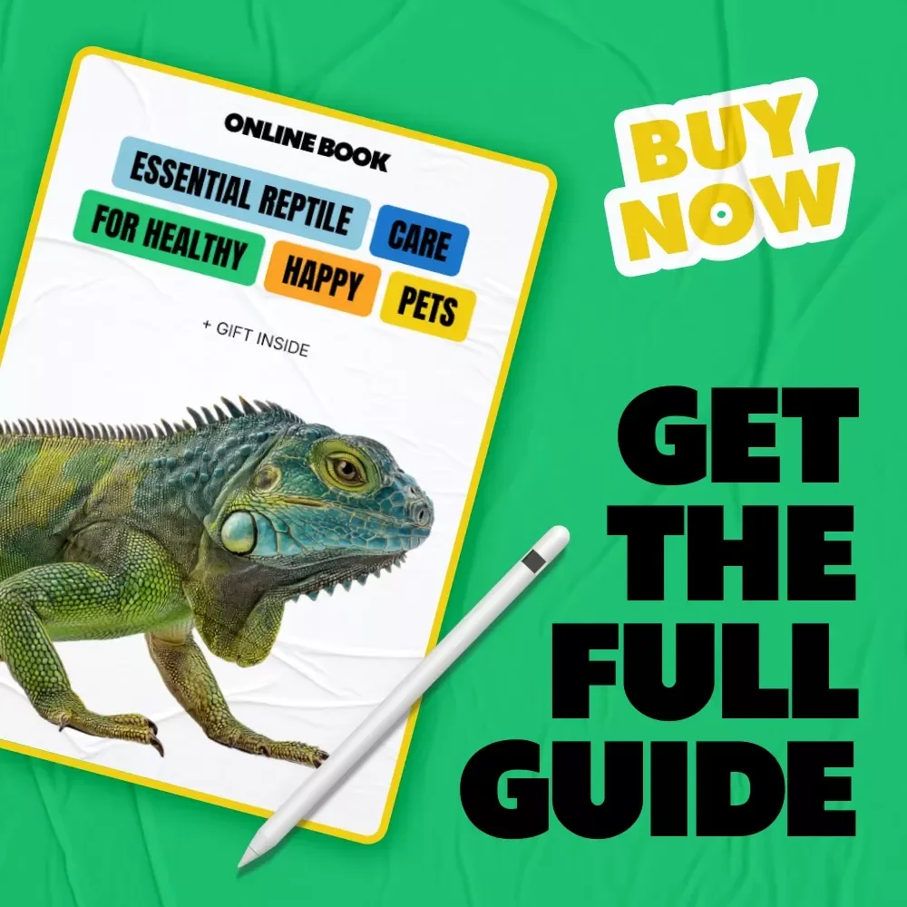 Essential Reptile Care for Healthy, Happy Pets | Reptile Care Basics eBook for Beginner & Experienced Owners | Complete Habitat, Feeding & Health Guide