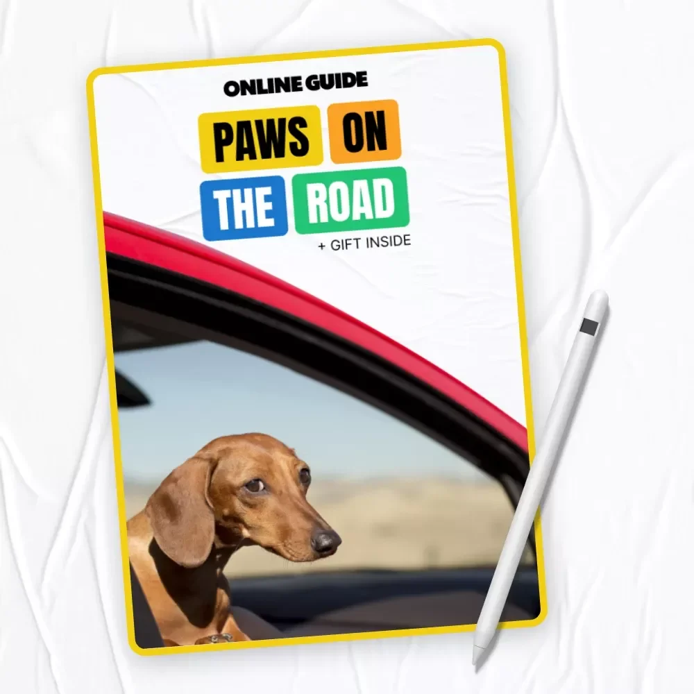 Paws on the Road: A Must-Have Digital Guide for Dog Owners | Car Travel Tips for Dogs, Road Trip Essentials & Safety for Pets