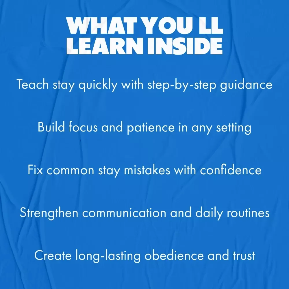 Teaching Your Dog the Stay Command | Dog Training Guide, Puppy Obedience Training, Digital Download, eBook for Beginners