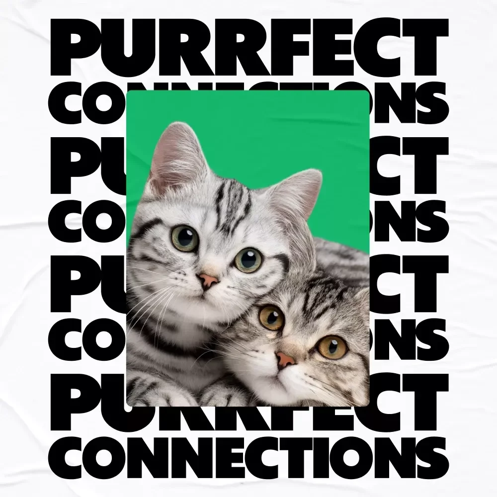 Purrfect Connections: The Ultimate eBook Guide to Cat Socialization Ideas