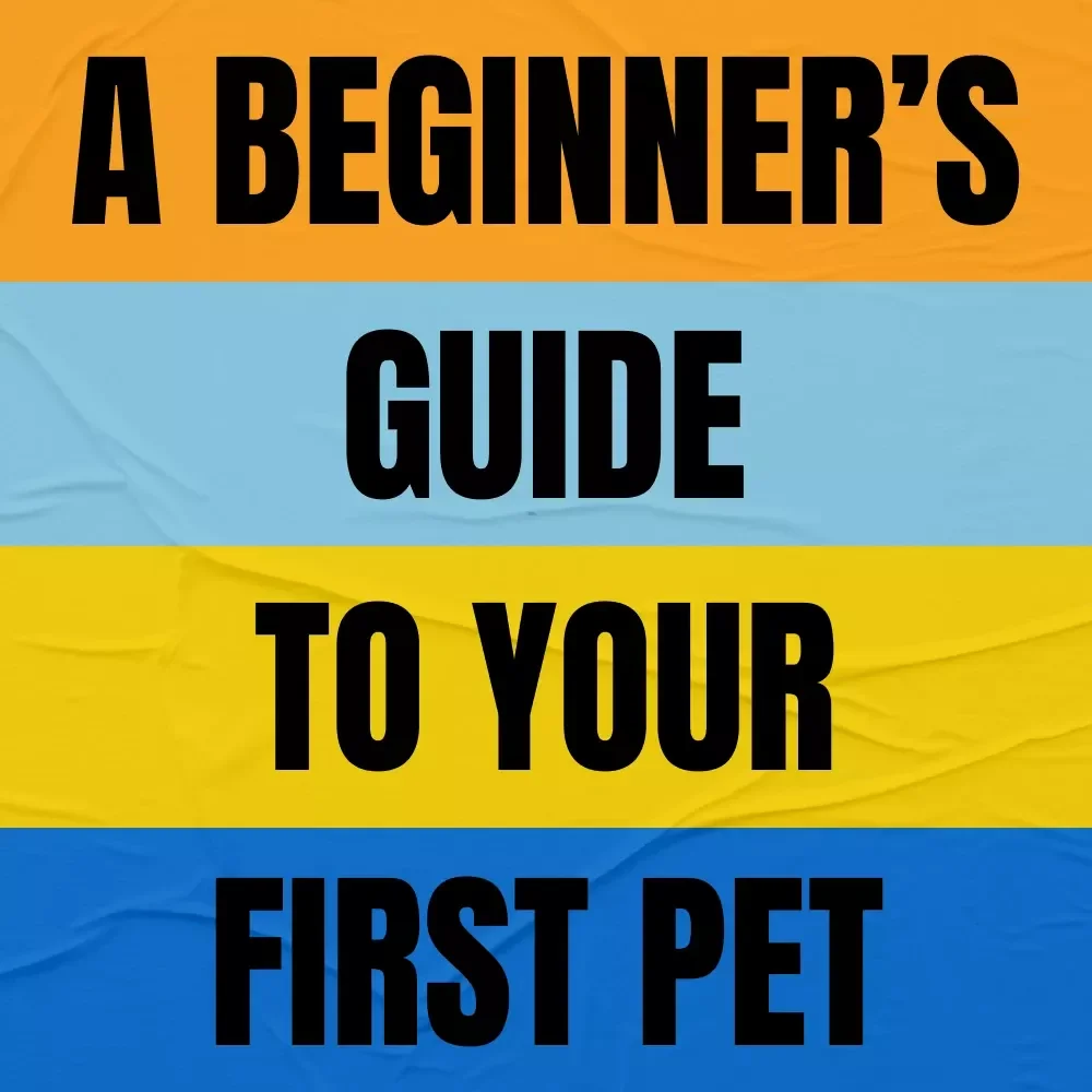 A Beginner’s Guide to Your First Pet – An Easy eBook for Choosing Pets That Are Good for First Time Owners, Confident Care & Smart Decisions