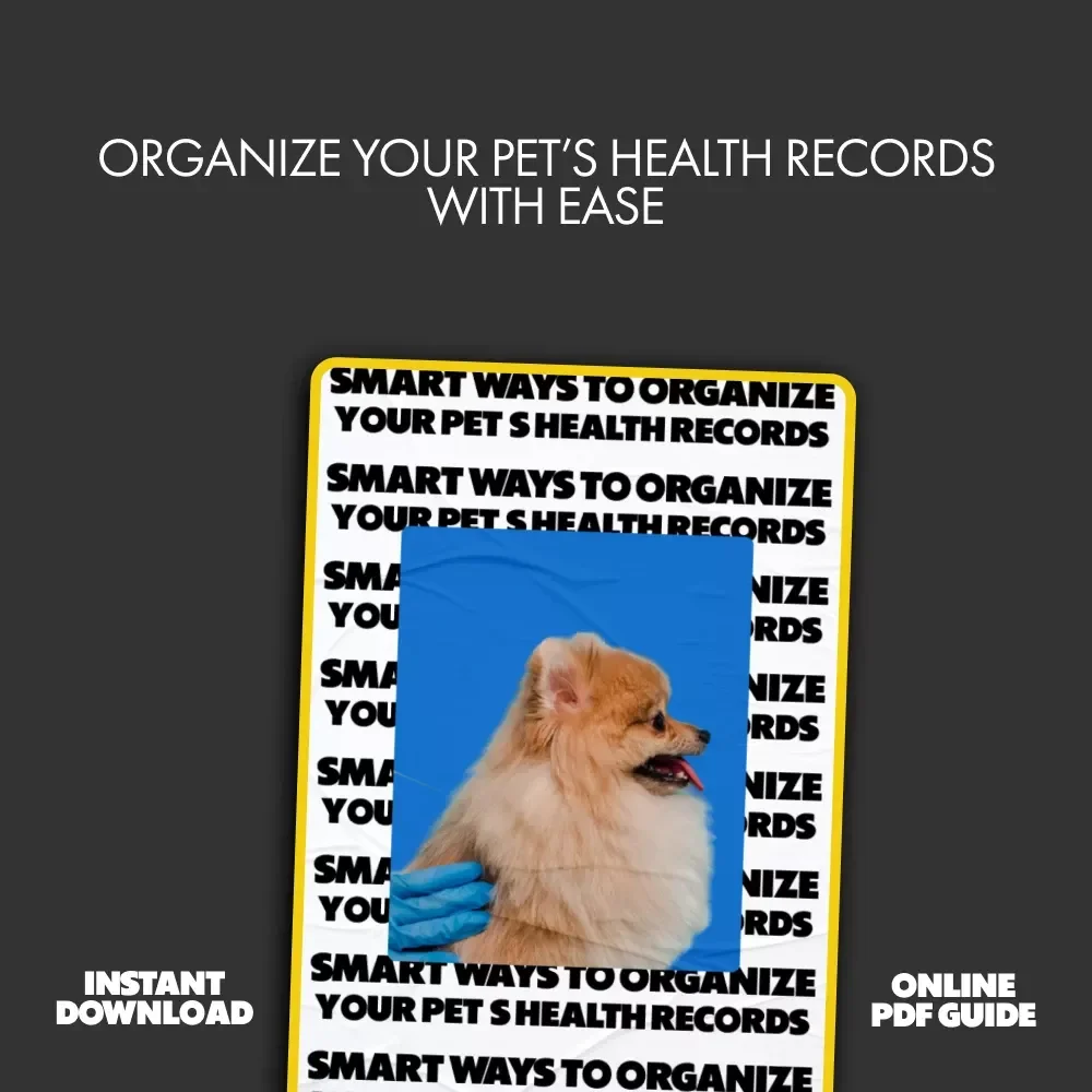 Smart Ways to Organize Your Pet’s Health Records: A Digital Guide to Simplify Pet Care