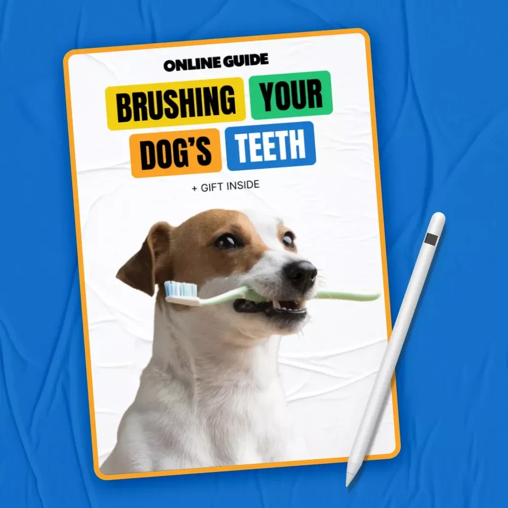 Brushing Your Dog’s Teeth: The Ultimate Guide to Healthy Smiles and Fresh Breath