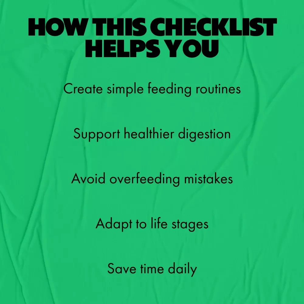 Pet Feeding Schedule Made Simple – Easy Checklist for Daily Routines, Smart Planning & pet feeding schedule ideas for Dogs & Cats