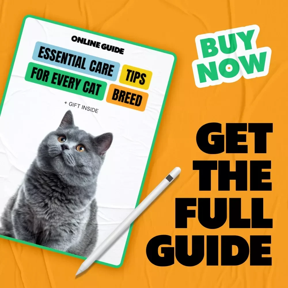 Essential Care Tips for Every Cat Breed | Breed-Specific Health, Nutrition & Grooming Guide | cat breed specific care tips