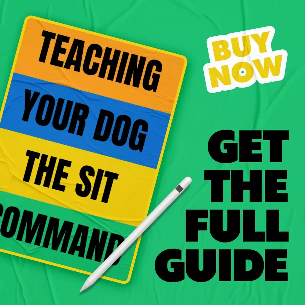 Teaching Your Dog the Sit Command | Dog Training Guide Download, Puppy Obedience eBook, Instant Digital PDF for Beginners & Pet Owners