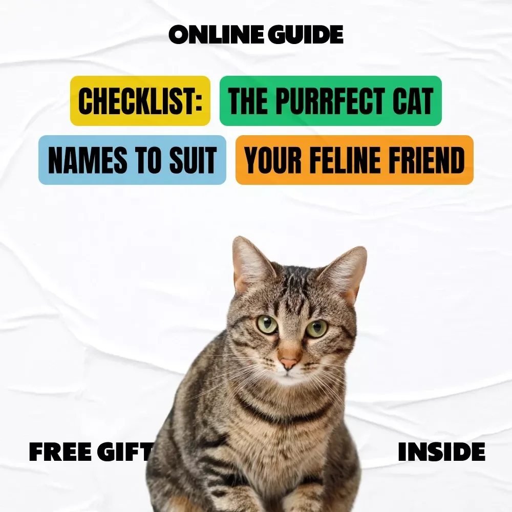 Checklist: The Purrfect Cat Names to Suit Your Feline Friend - Most Popular & Unique Cat Names