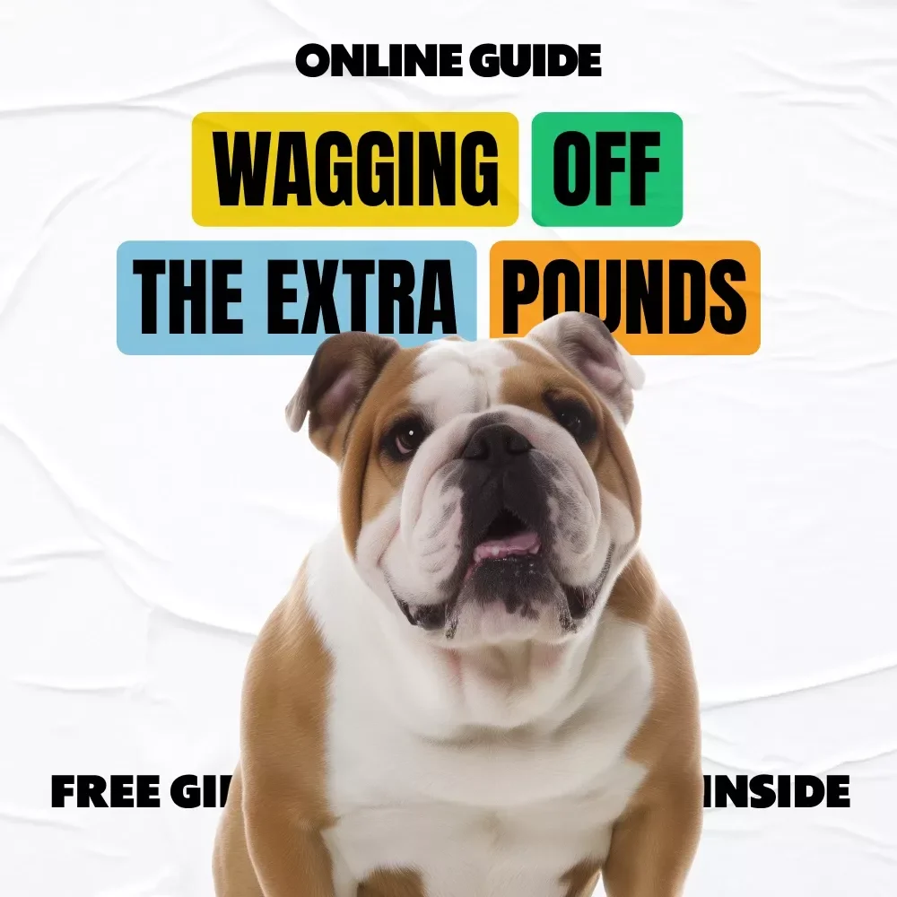 Wagging Off the Extra Pounds – A Practical Dog Weight Loss eBook for Pet Parents Wondering what to do if my dog is overweight