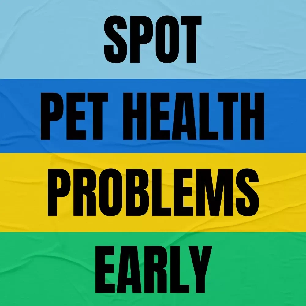 How AI Is Helping Spot Pet Health Problems Early | Ebook Guide on AI Ways to Predict Pet Health Issues for Smarter, Proactive Pet Care