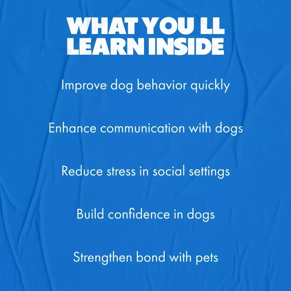 Dog Socialization Basics: A Complete Guide to Raising a Well-Behaved, Confident Pup
