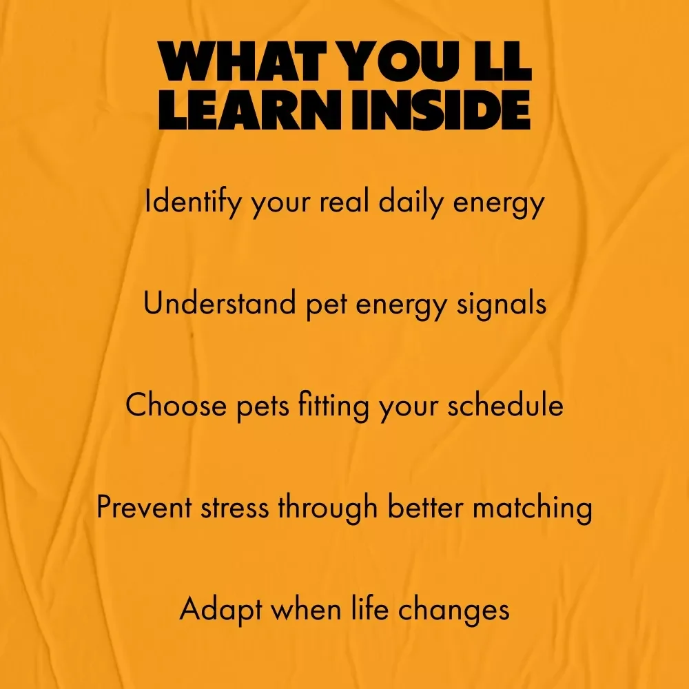 How to Match Your Pet’s Energy to Your Real Life | Practical Guide on how to match pet energy with your routine | Smart Pet Compatibility & Lifestyle Planning Download
