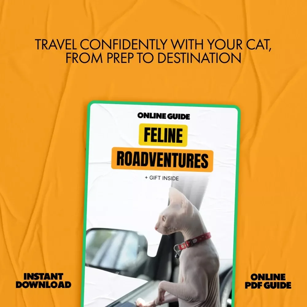 Feline Roadventures: Essential Car Travel Tips for Cats - The Complete Digital Guide