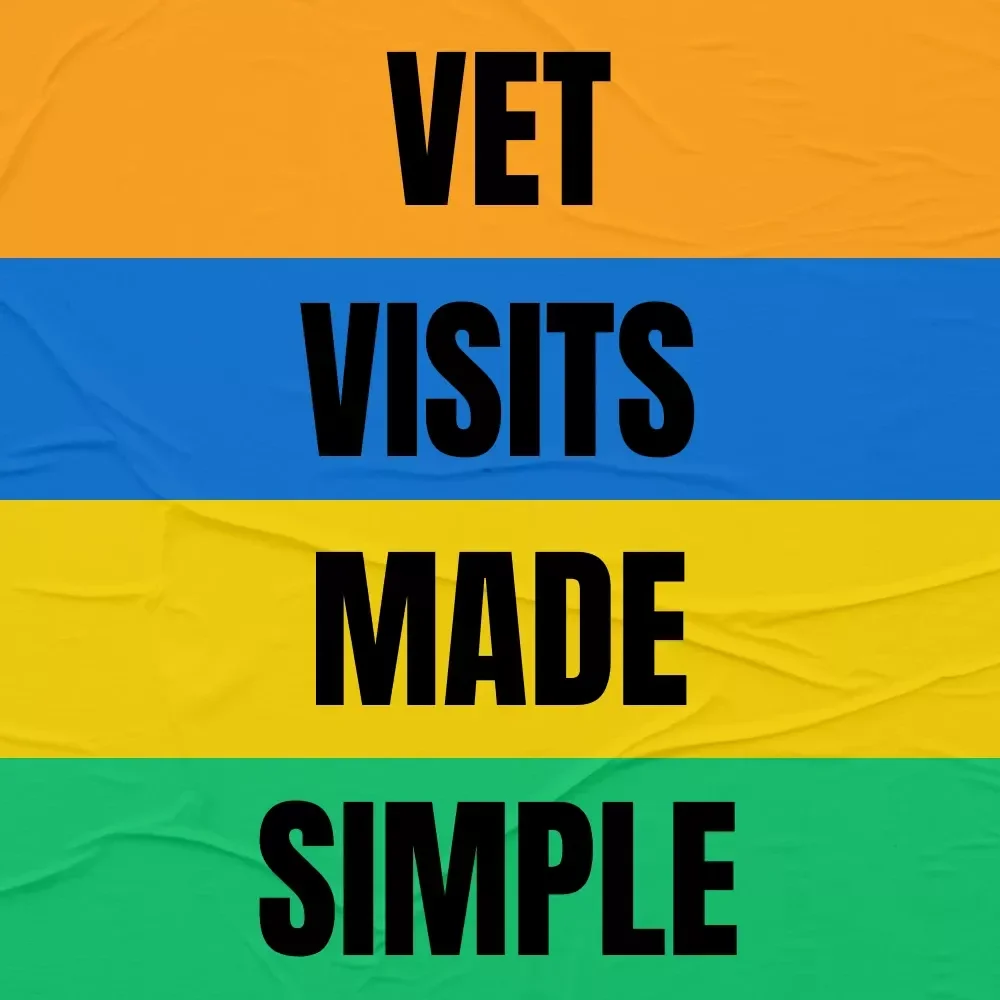 Vet Visits Made Simple: A Step-by-Step Guide for Pet Owners - Preparing, Attending & Tracking Vet Appointments