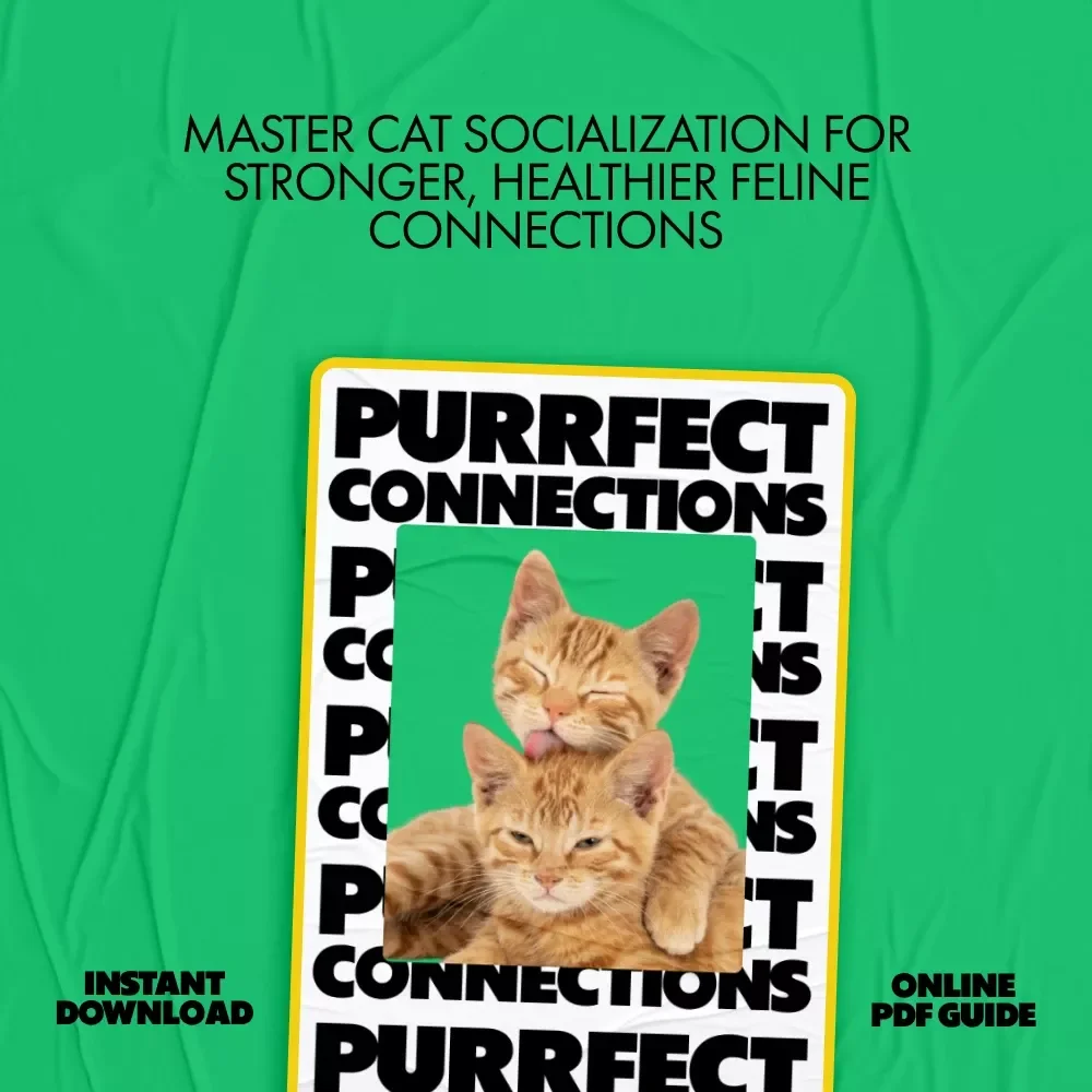 Purrfect Connections: The Ultimate eBook Guide to Cat Socialization Ideas
