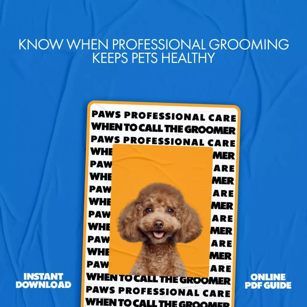 Paws & Professional Care: When to Call the Groomer | Pet Grooming Guide on When to Get Professional Grooming for Dogs & Cats