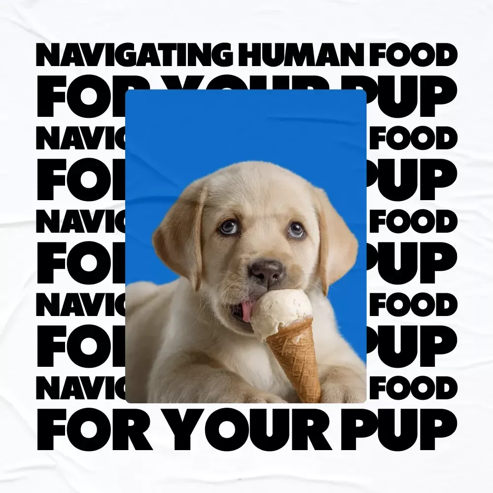 Navigating Human Food for Your Pup – Practical Dog Feeding eBook Answering “can I feed my dog human food” | Safe Foods, Toxic Foods & Easy Meal Planning Guide