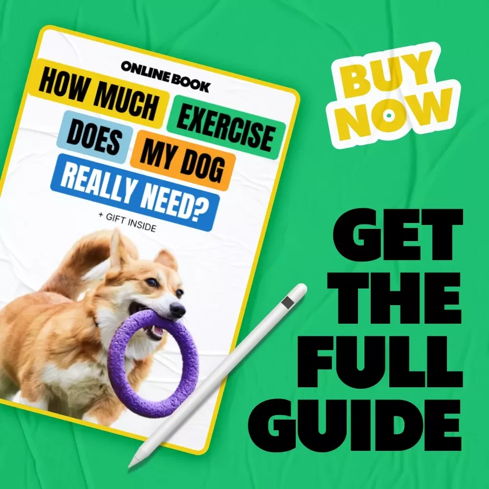 How Much Exercise Does My Dog Really Need | Practical Dog Exercise Guide eBook for Happy, Healthy Pets