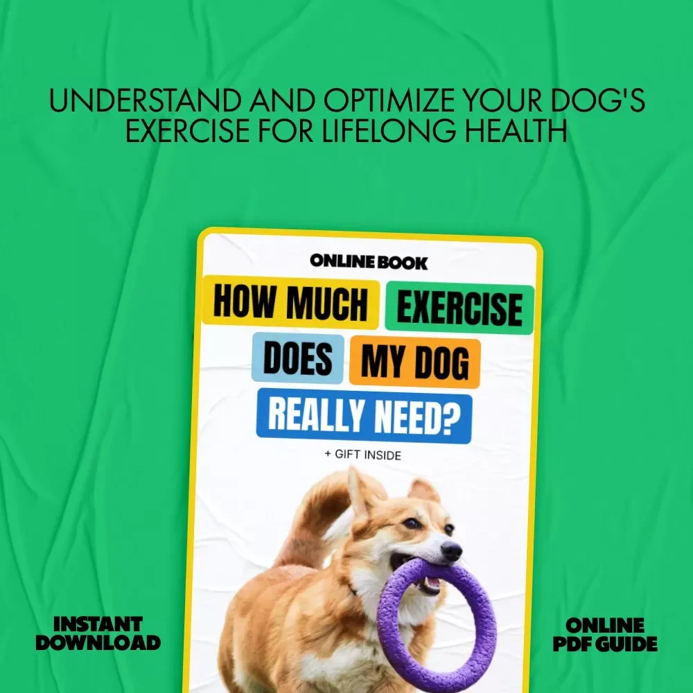 How Much Exercise Does My Dog Really Need | Practical Dog Exercise Guide eBook for Happy, Healthy Pets