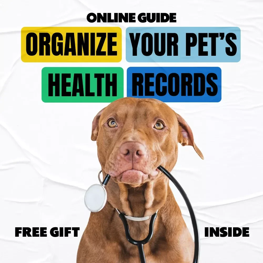 Smart Ways to Organize Your Pet’s Health Records: A Digital Guide to Simplify Pet Care