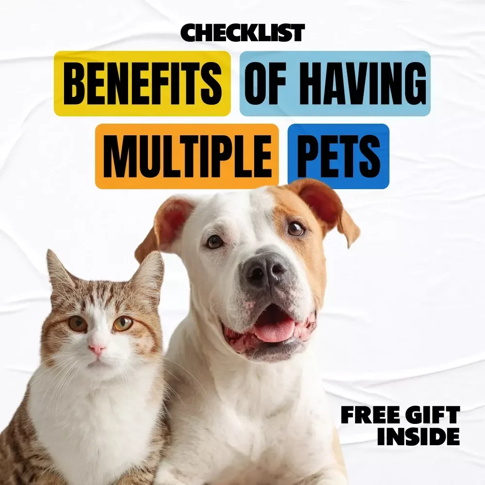 Checklist of the Real Benefits of Having Multiple Pets | Digital Download Checklist | Pet Parenting Guide | Understanding the benefits of having multiple pets