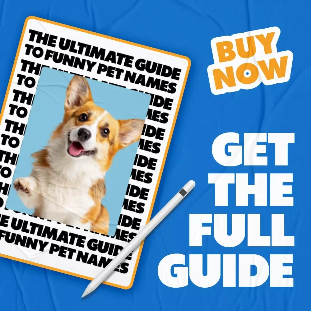 The Ultimate Guide to Funny Pet Names: Creative & Comical Ideas for Your Furry Friend