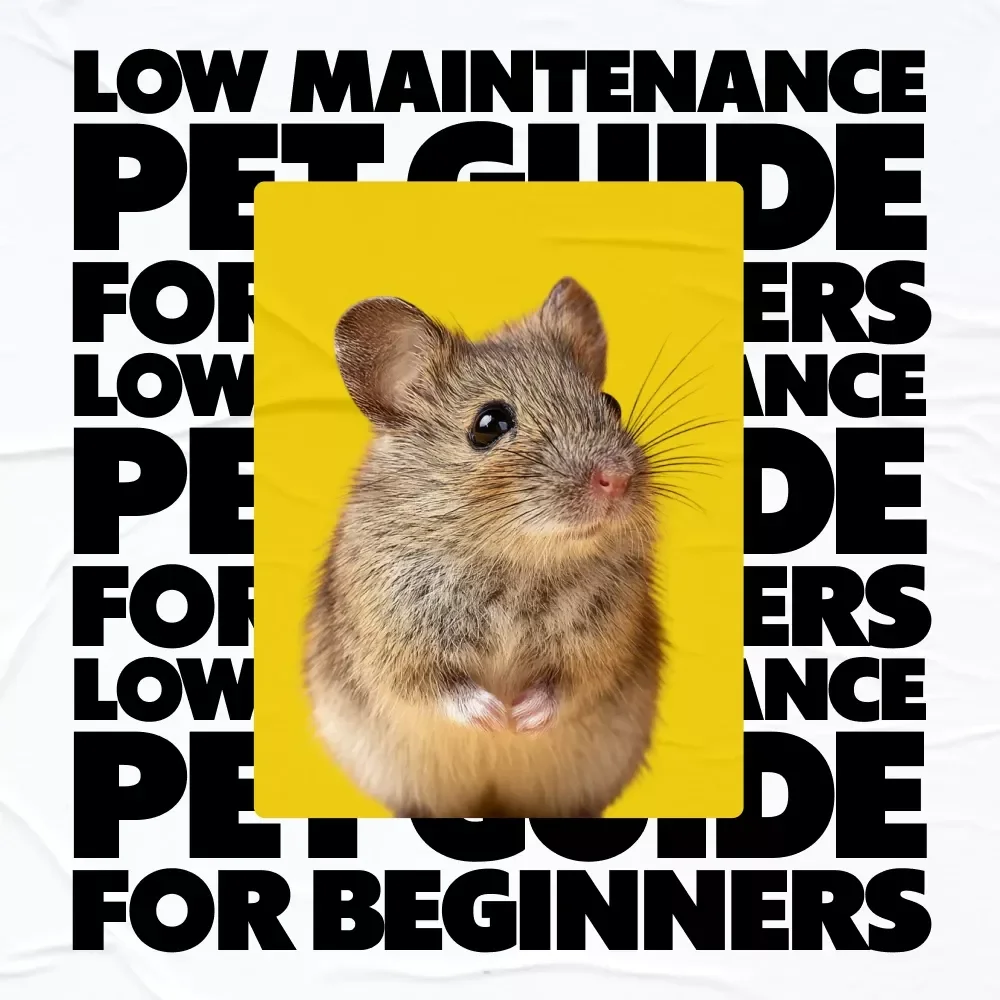 A Smart Guide to Pets That Practically Care for Themselves | Low-Maintenance Pet Guide for Beginners | Learn which pets need the least care