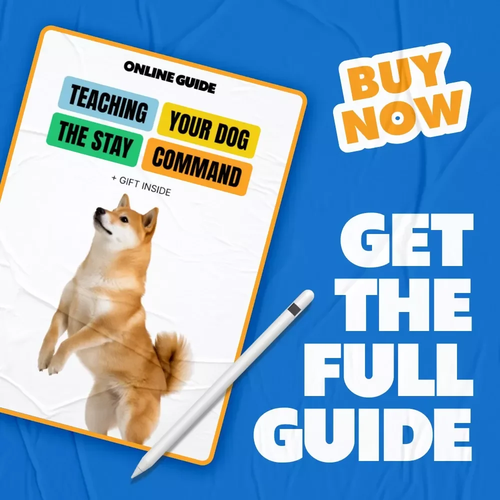 Teaching Your Dog the Stay Command | Dog Training Guide, Puppy Obedience Training, Digital Download, eBook for Beginners