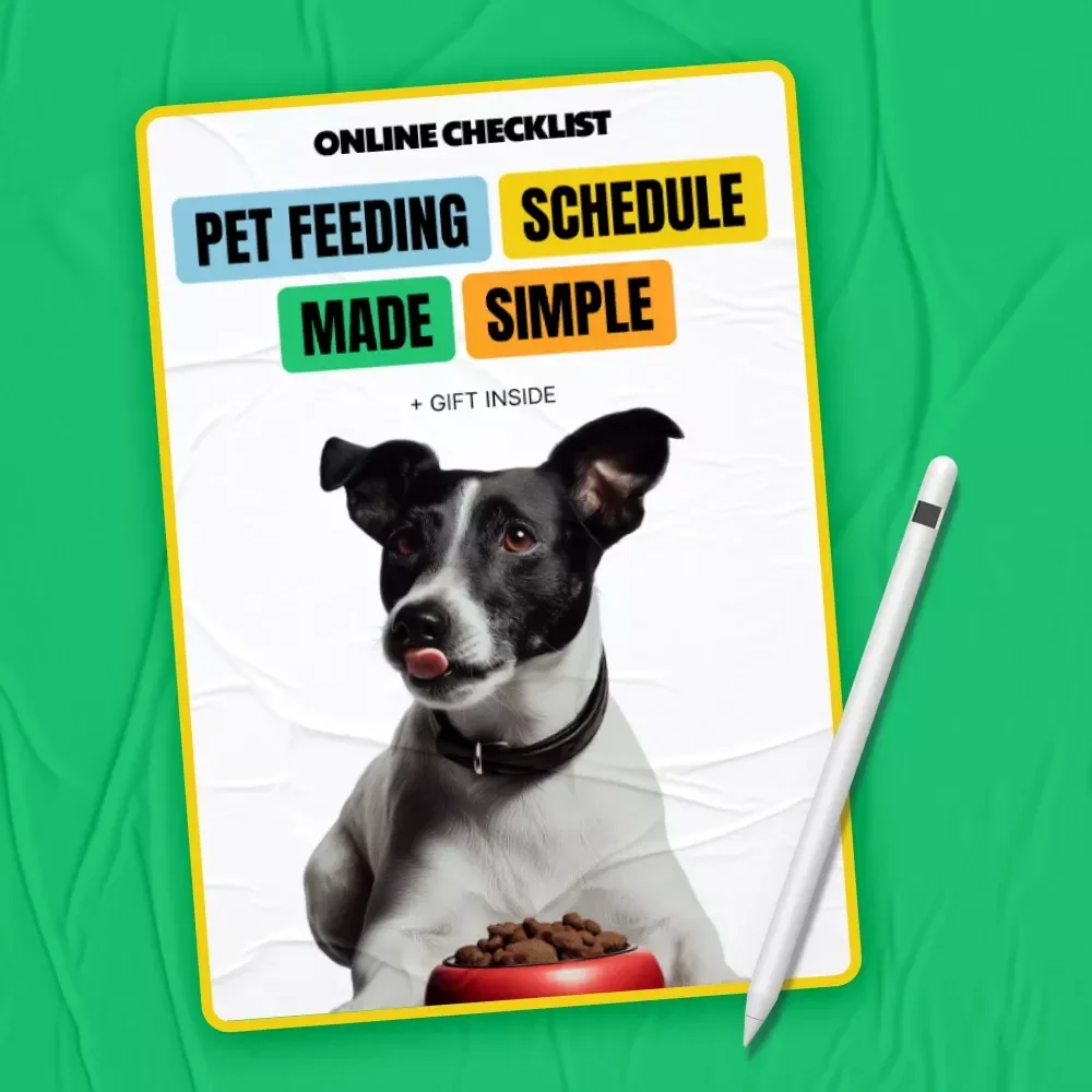 Pet Feeding Schedule Made Simple – Easy Checklist for Daily Routines, Smart Planning & pet feeding schedule ideas for Dogs & Cats