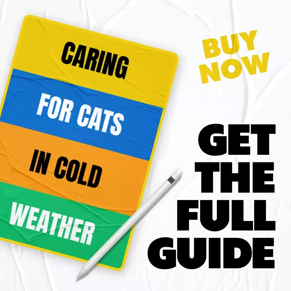 Caring for Cats in Cold Weather: Essential Winter Care Guide, Tips & Checklists