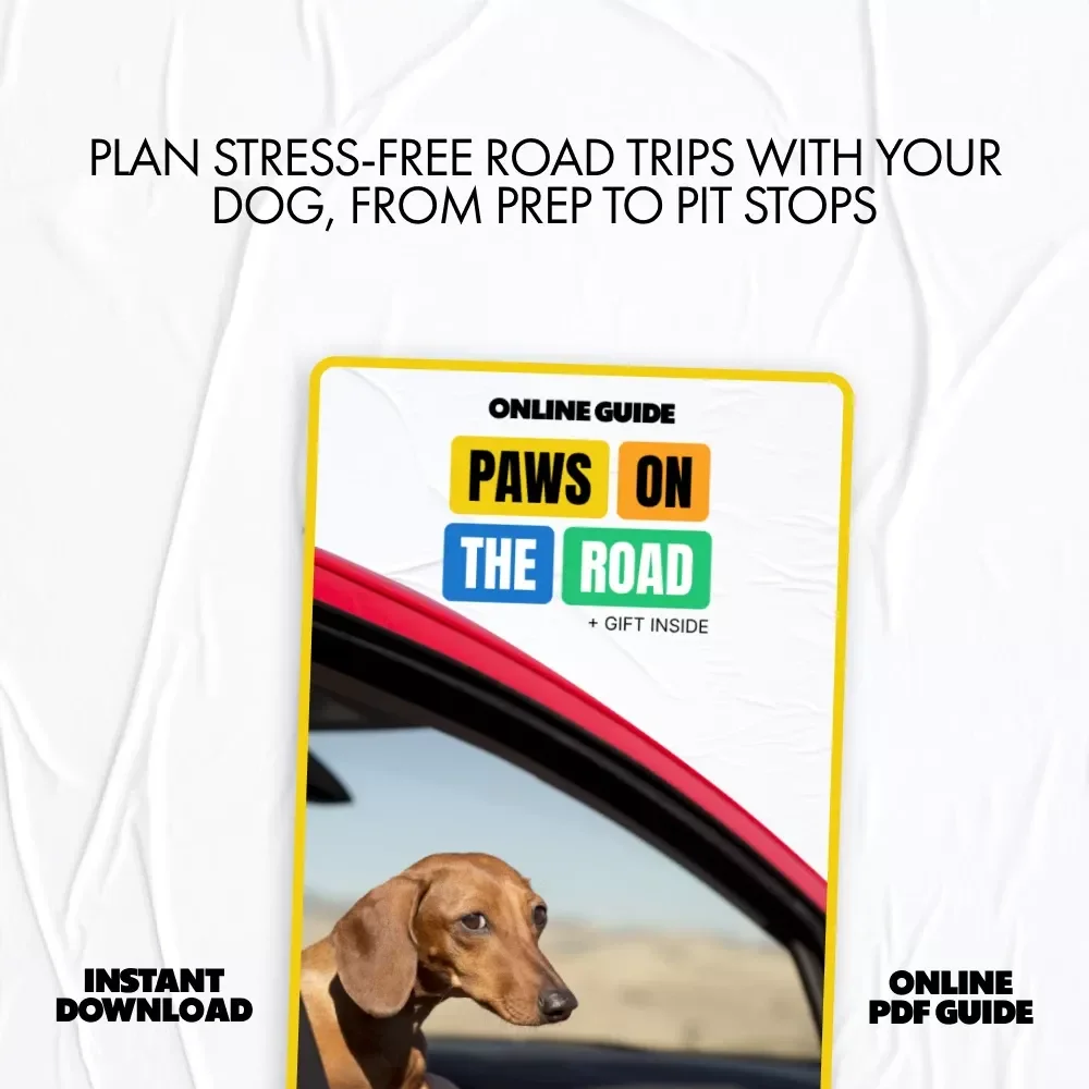 Paws on the Road: A Must-Have Digital Guide for Dog Owners | Car Travel Tips for Dogs, Road Trip Essentials & Safety for Pets