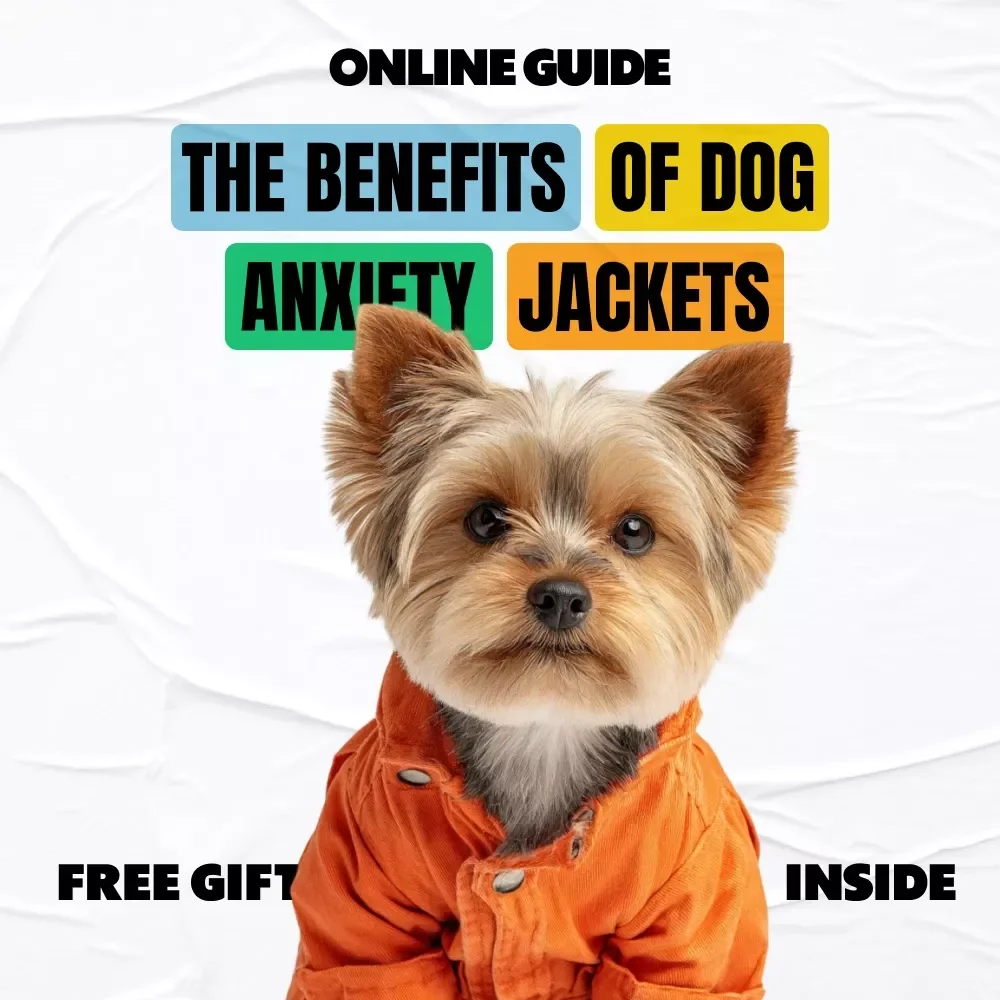 The Benefits of Dog Anxiety Jackets – Printable Checklist for Calm, Confident Dogs | Dog Anxiety Jacket Benefits Guide