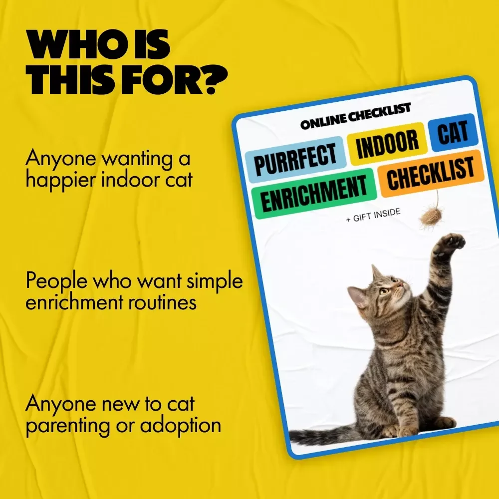 Purrfect Indoor Cat Enrichment Checklist | Enrichment for Bored Indoor Cats
