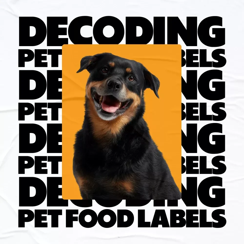 Checklist: Decoding Pet Food Labels | what to look for on pet food labels | Printable Pet Nutrition Guide
