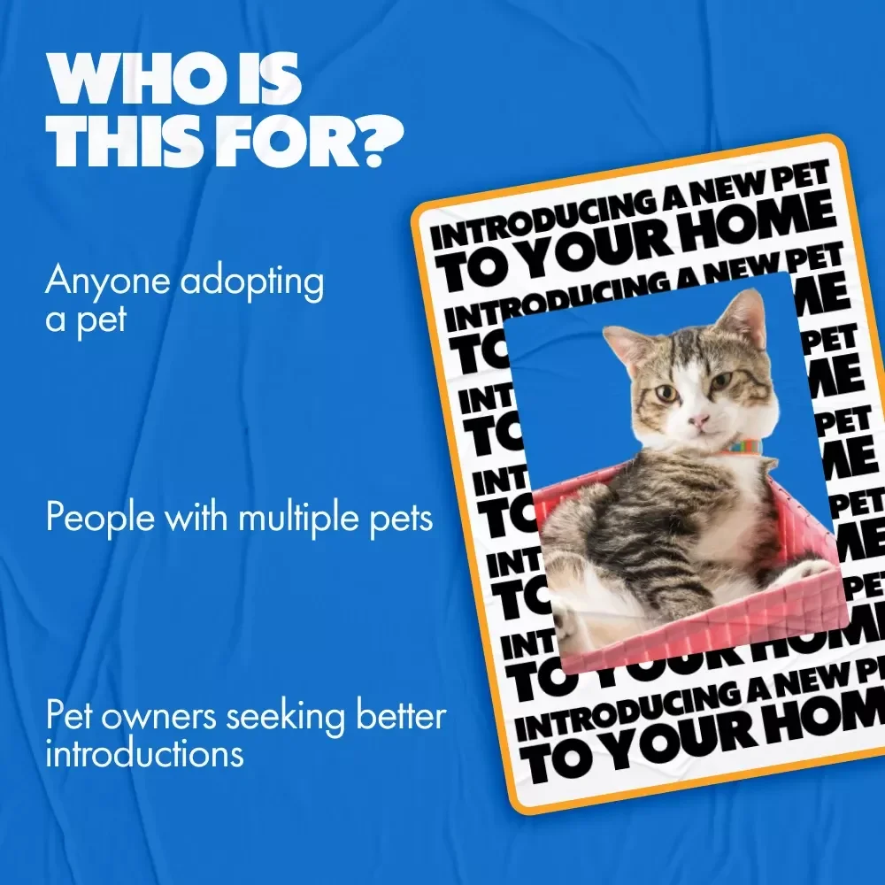 Introducing a New Pet to Your Home: Your Ultimate Guide to a Smooth Transition