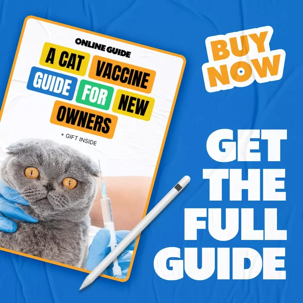 A Cat Vaccine Guide for New Owners: A Comprehensive Digital Download for Healthy Cats