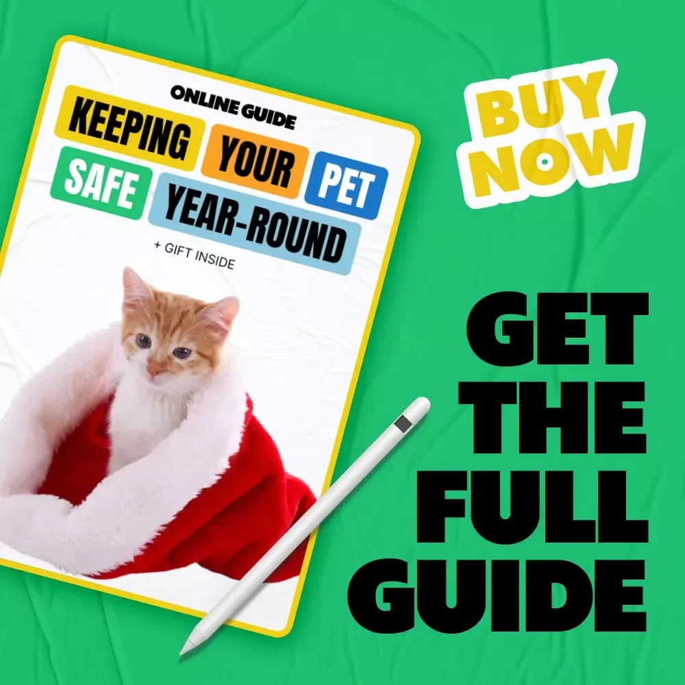 Keeping Your Pet Safe Year-Round: Essential Guide to Seasonal Pet Safety