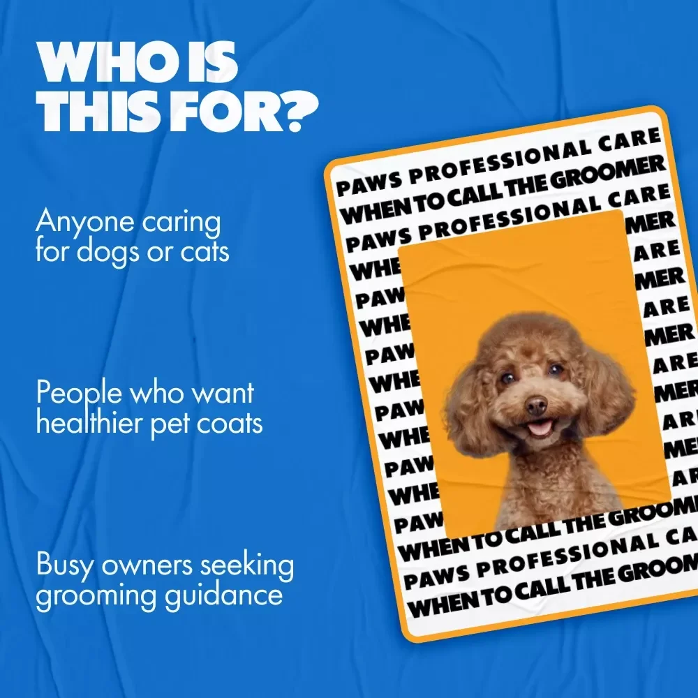 Paws & Professional Care: When to Call the Groomer | Pet Grooming Guide on When to Get Professional Grooming for Dogs & Cats