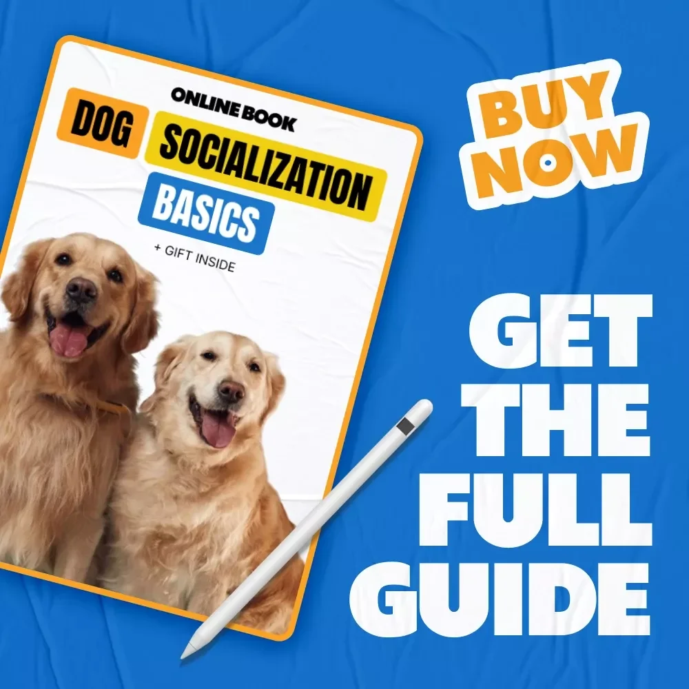 Dog Socialization Basics: A Complete Guide to Raising a Well-Behaved, Confident Pup