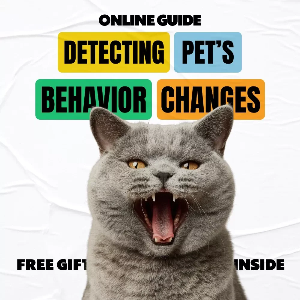 Detecting Pet’s Behavior Changes Early | Practical eBook Guide to Pet Behavior Change Warning Signs for Dogs & Cats