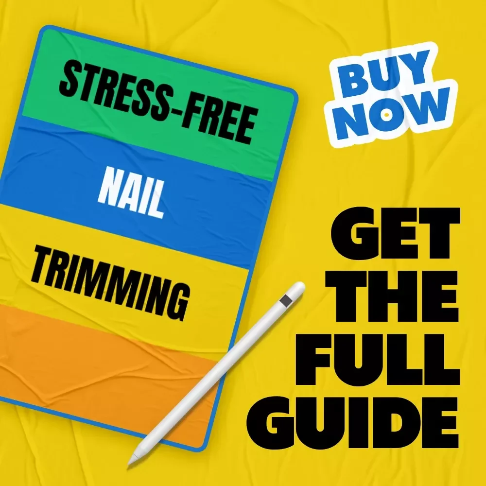 Stress-Free Nail Trimming: The Ultimate Guide for Cat Owners - Step-by-Step Techniques & Smart Tips for Easy Claw Care