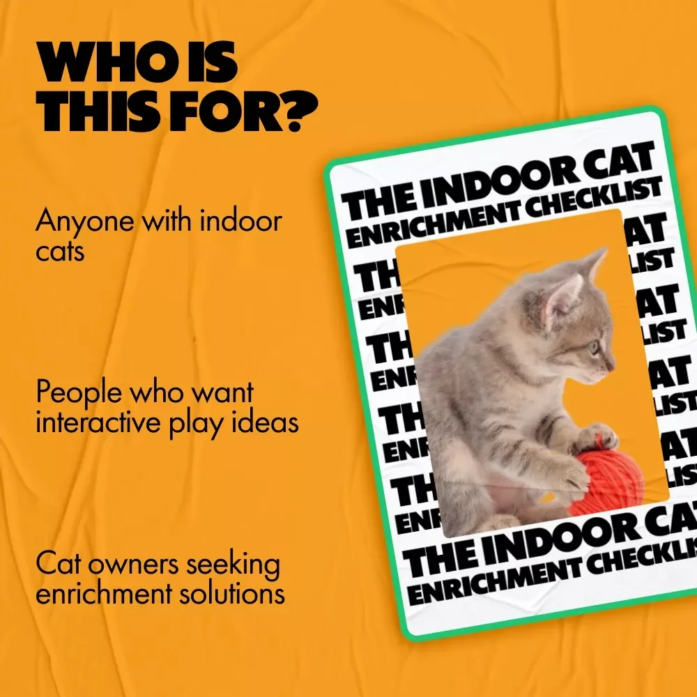The Indoor Cat Enrichment Checklist: Best Indoor Enrichment for Cats to Keep Them Happy and Stimulated