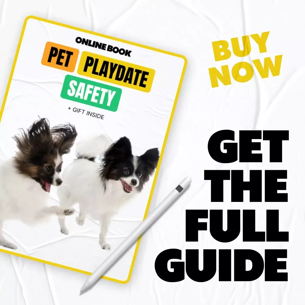 Pet Playdate Safety: The Ultimate Guide for a Fun & Safe Pet Playdate