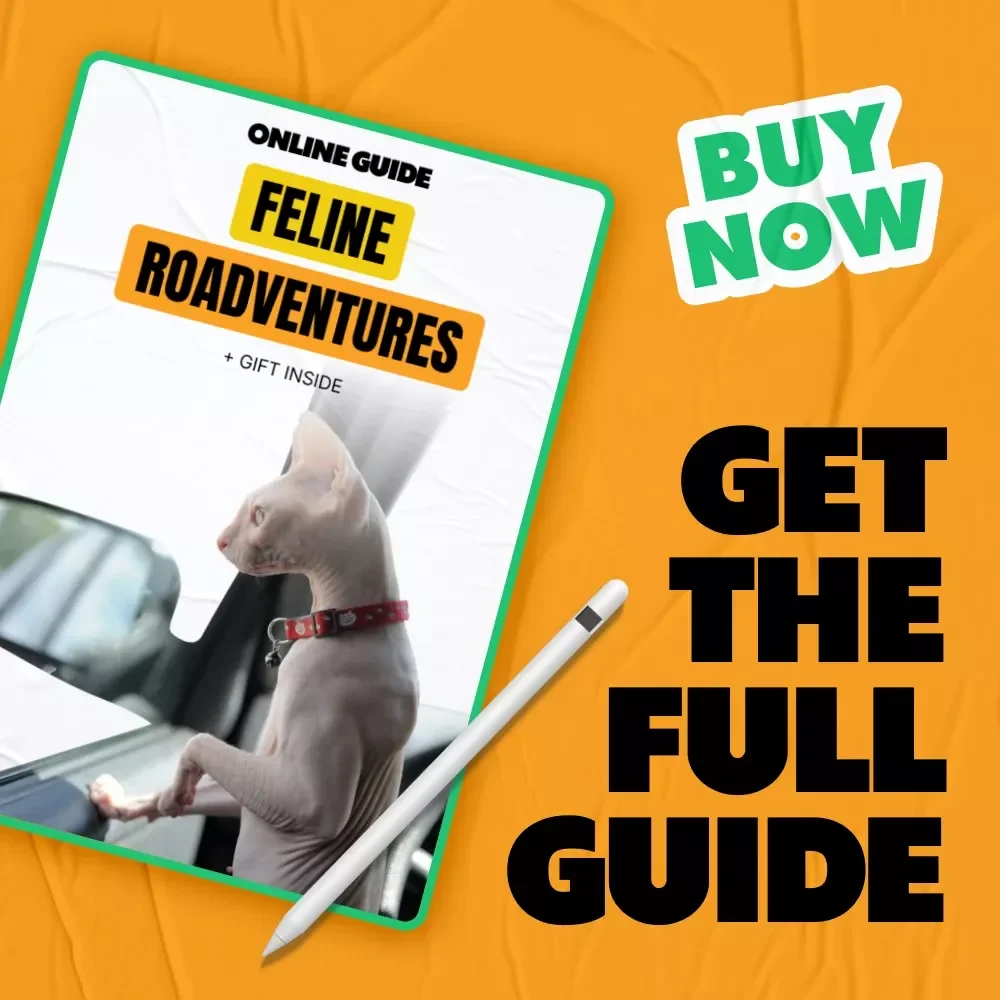 Feline Roadventures: Essential Car Travel Tips for Cats - The Complete Digital Guide