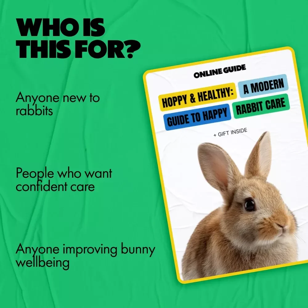 Hoppy & Healthy: A Modern Guide to Happy Rabbit Care | Practical Rabbit Care Tips for New & Experienced Bunny Owners