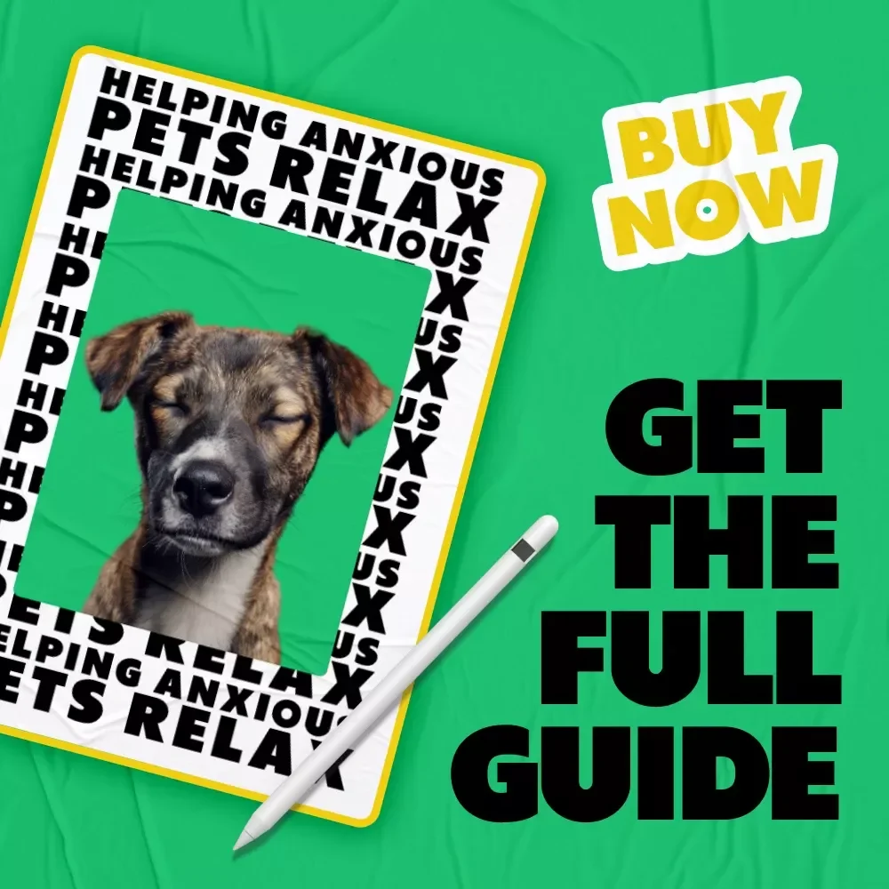 Helping Anxious Pets Relax | Digital eBook Guide for Pet Parents | Holistic Calming Tips & Real-Life Strategies | how to help anxious pets calm down | Anxiety Support for Dogs & Cats